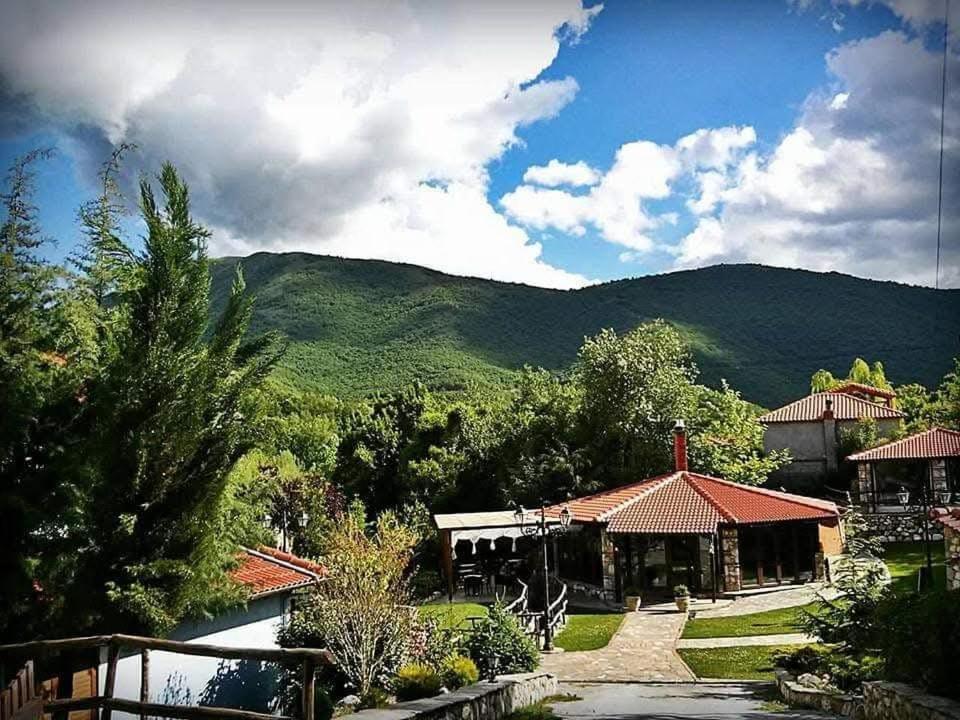 Tzivaeri