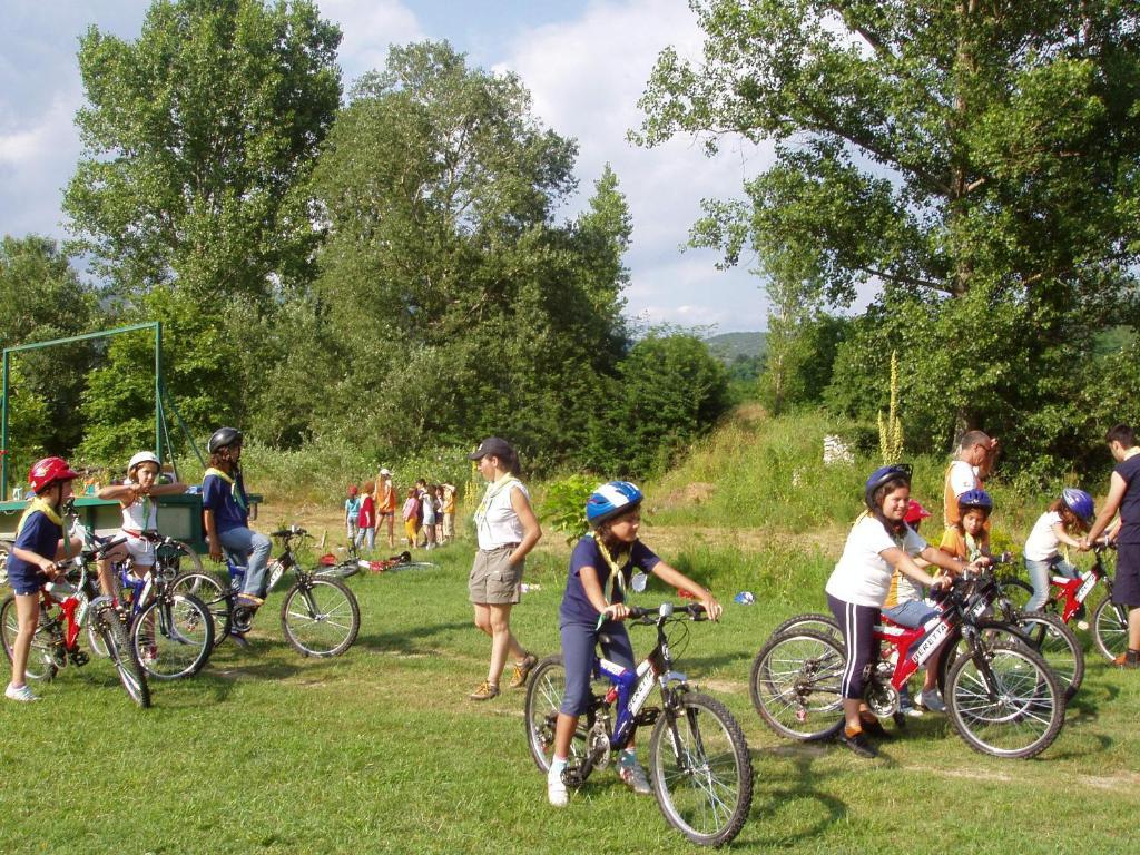 Tzivaeri