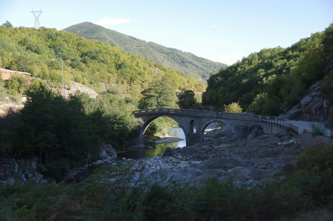 Tzivaeri